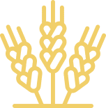 ico_1_1